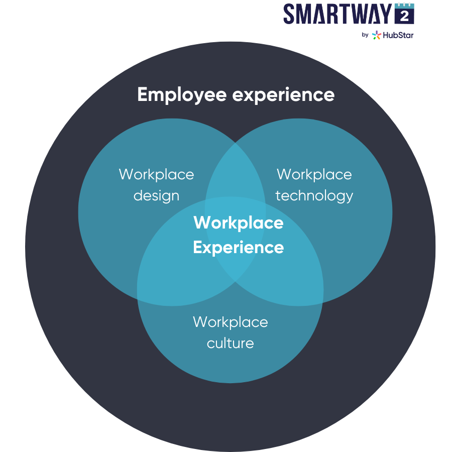 Workplace Experience Venn Diagram